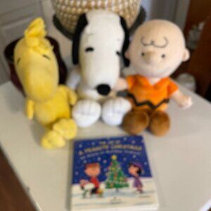 Peanuts Plush Charlie Brown Snoopy and Woodstock + Book